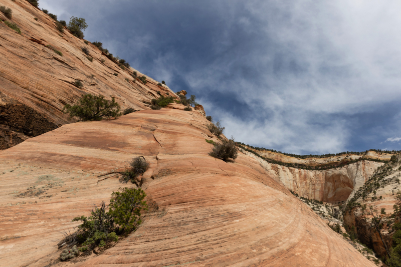 Zion National Park