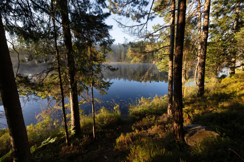 Dalsland II