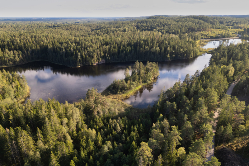 Dalsland II