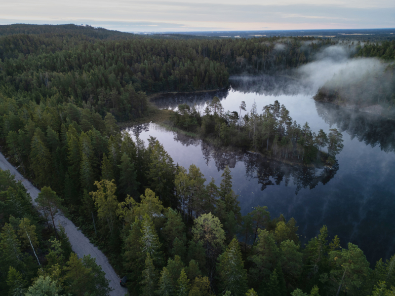 Dalsland II