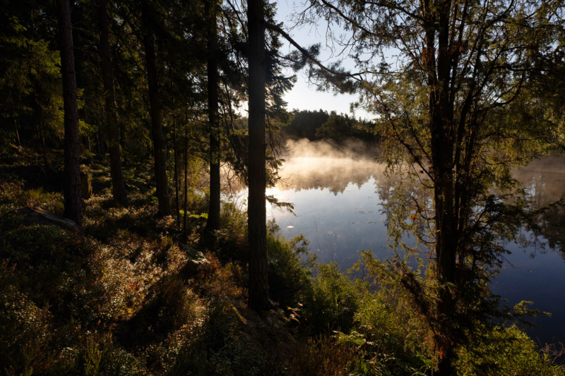 Dalsland II