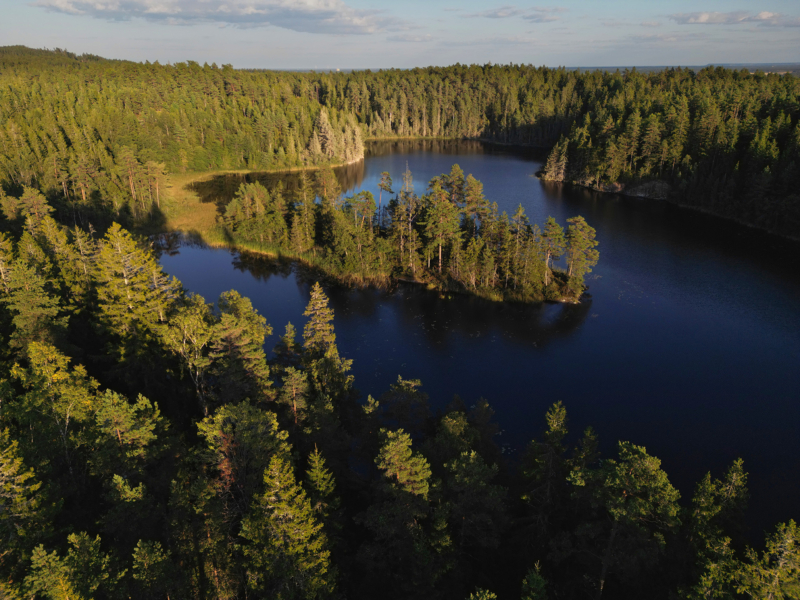 Dalsland II