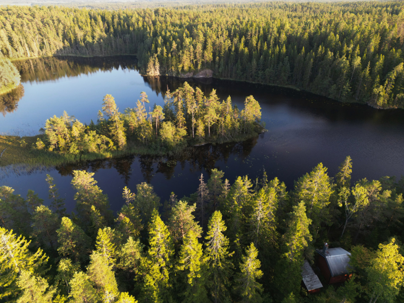Dalsland II